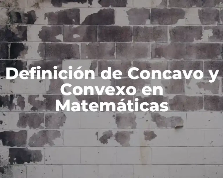 Definición de Concavo y Convexo en Matemáticas