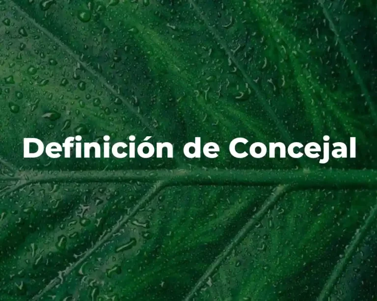 Definición de Concejal