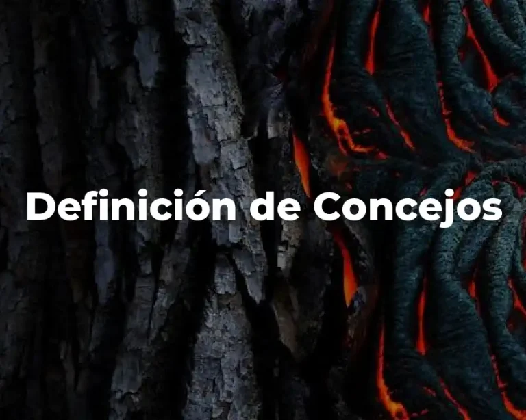 Definición de Concejos