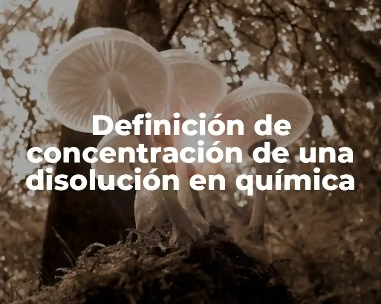 Definición de concentración de una disolución en química