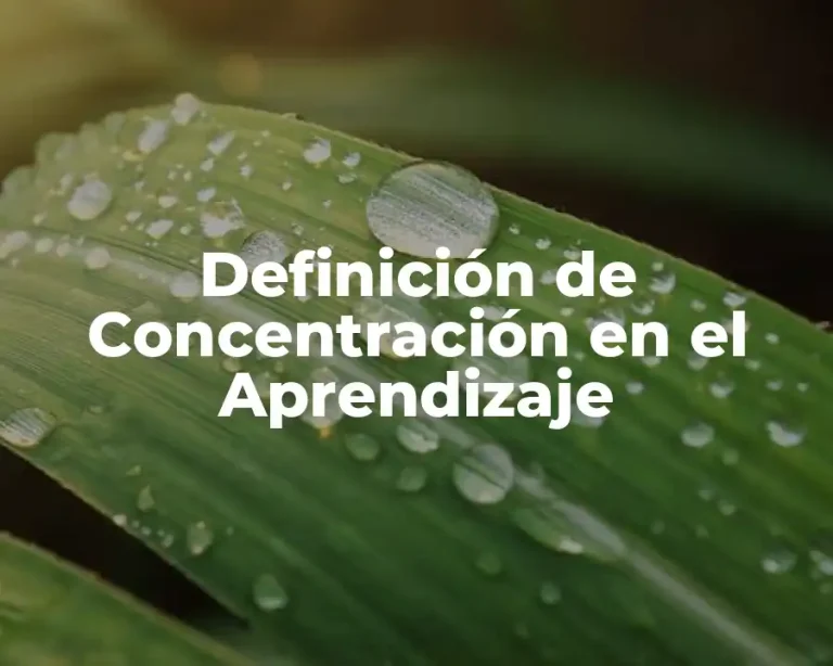 Definición de Concentración en el Aprendizaje