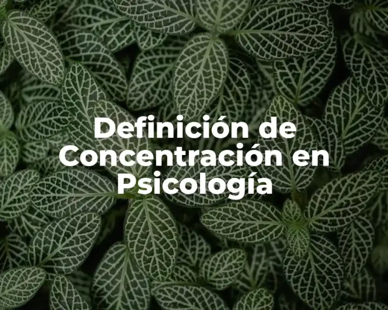 Definición de Concentración en Psicología