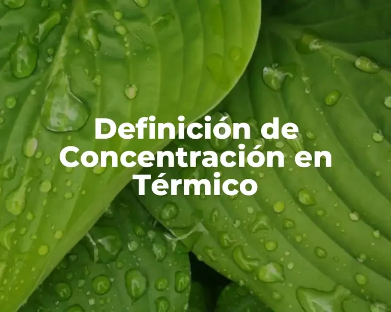 Definición de Concentración en Térmico