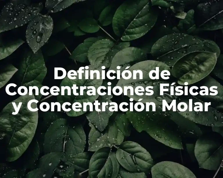 Definición de Concentraciones Físicas y Concentración Molar