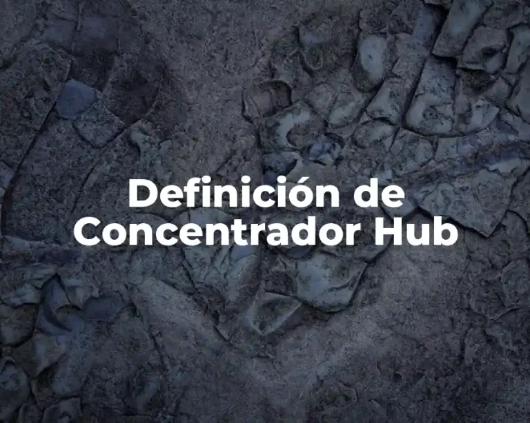 Definición de Concentrador Hub