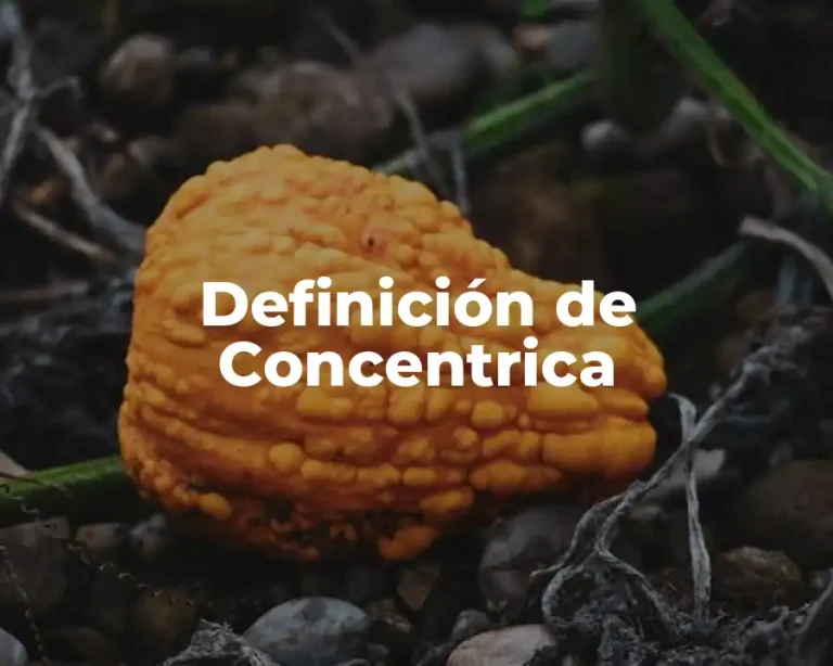 Definición de Concentrica
