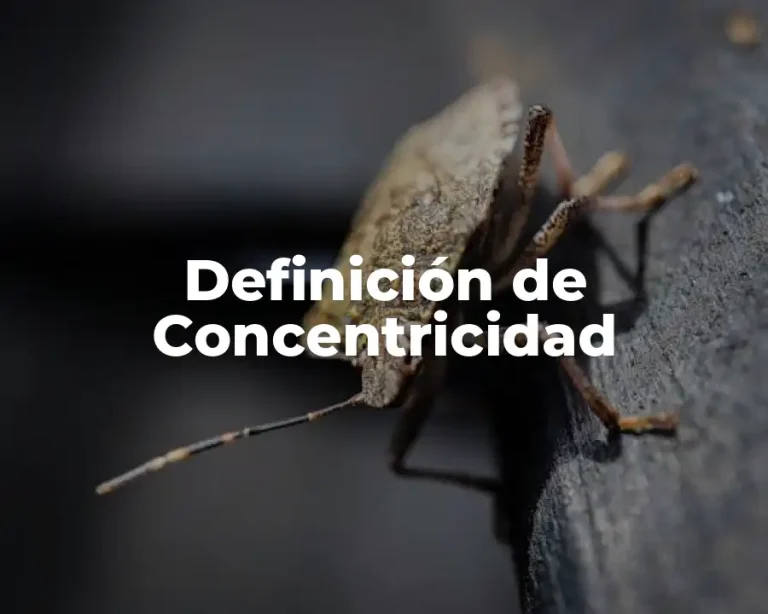 Definición de Concentricidad