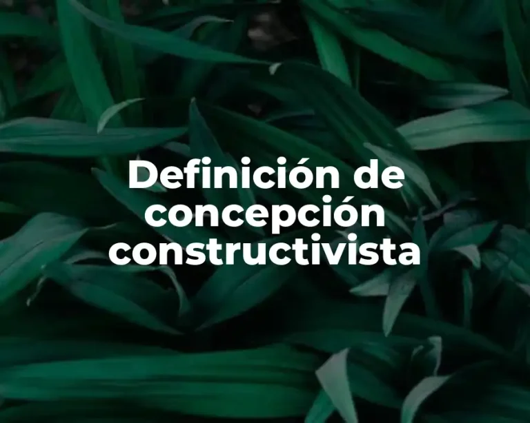 Definición de concepción constructivista