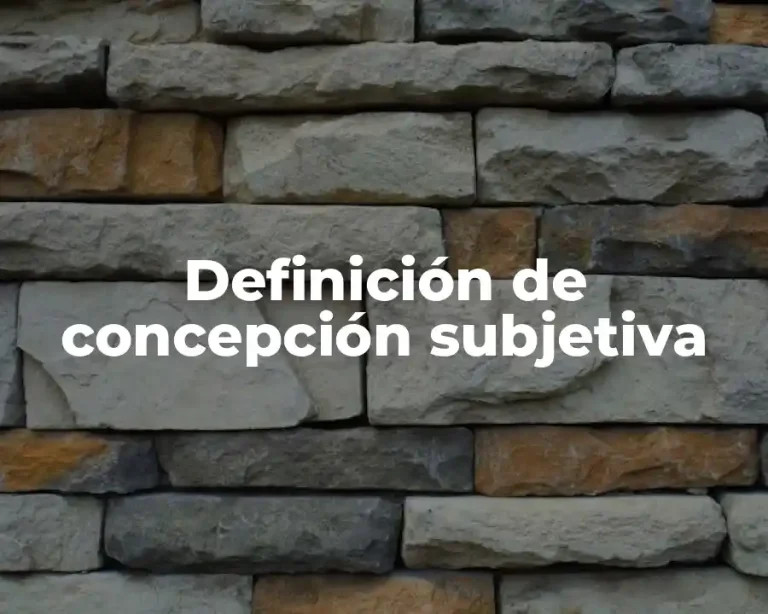 Definición de concepción subjetiva