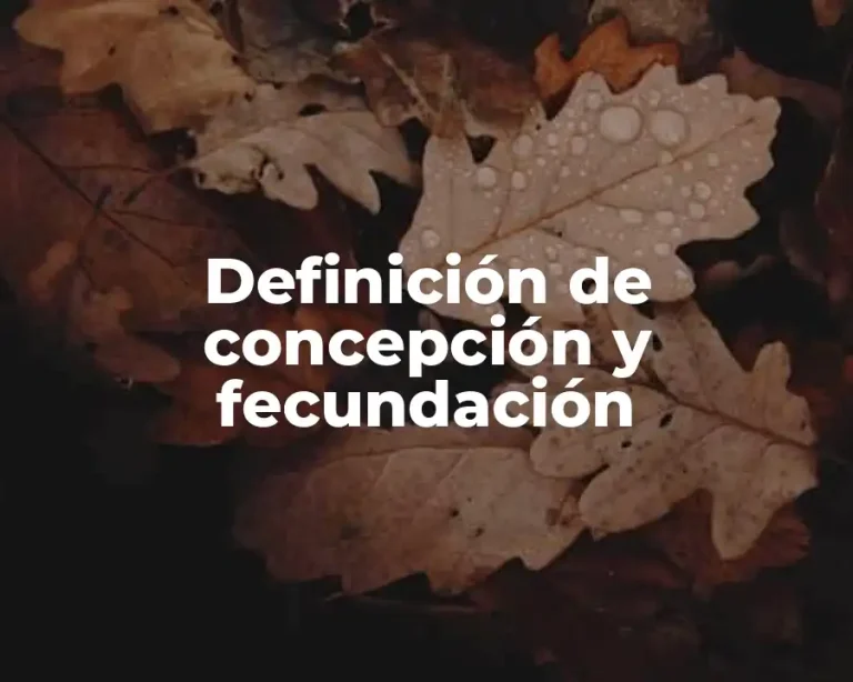 Definición de concepción y fecundación