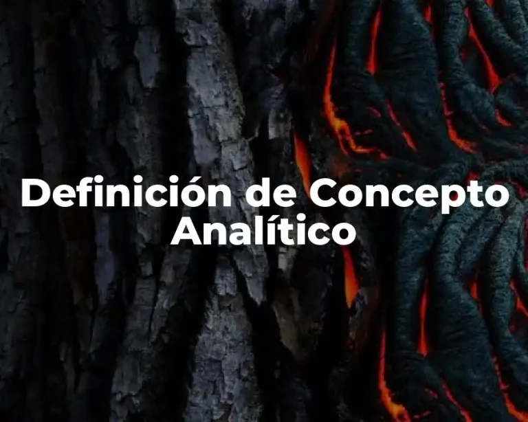 Definición de Concepto Analítico