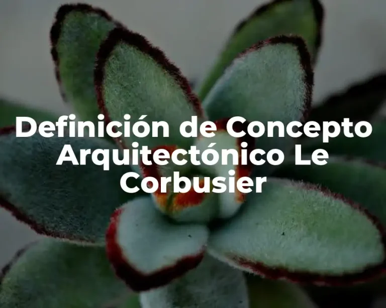 Definición de Concepto Arquitectónico Le Corbusier