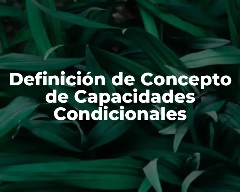 Definición de Concepto de Capacidades Condicionales
