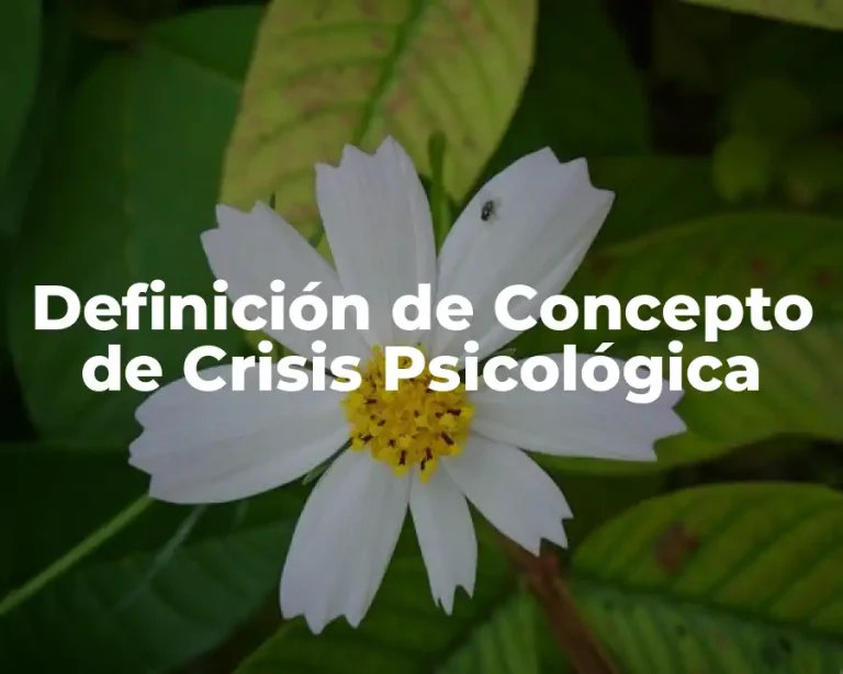 Definición de Concepto de Crisis Psicológica