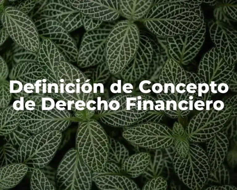 Definición de Concepto de Derecho Financiero