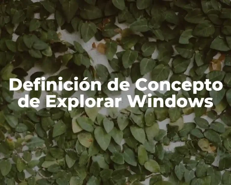Definición de Concepto de Explorar Windows