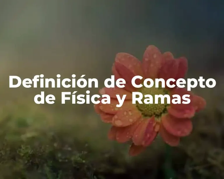 Definición de Concepto de Física y Ramas