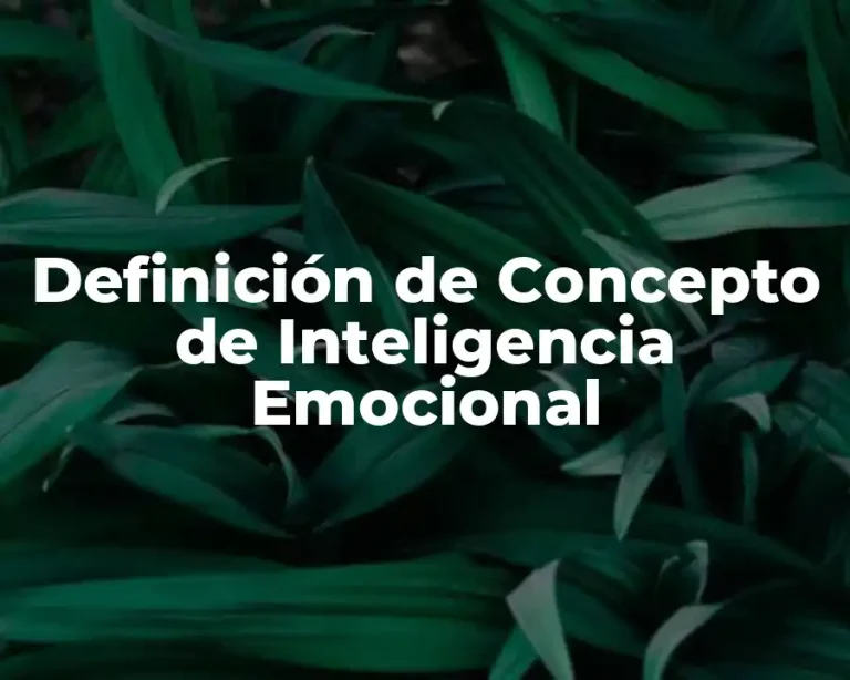 Definición de Concepto de Inteligencia Emocional