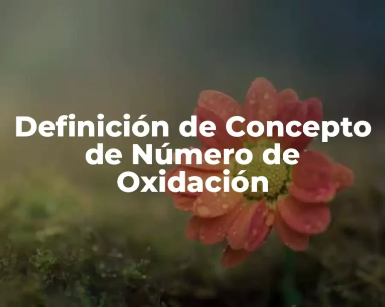 Definición de Concepto de Número de Oxidación