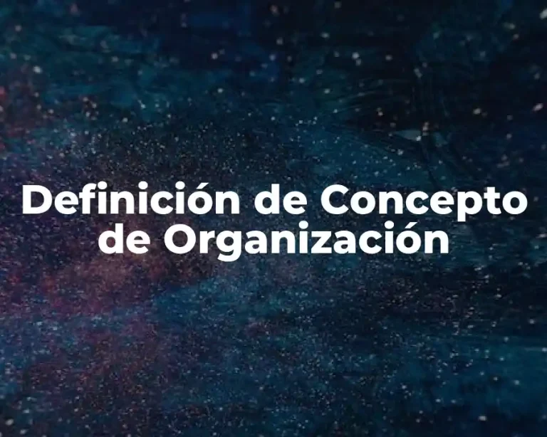 Definición de Concepto de Organización