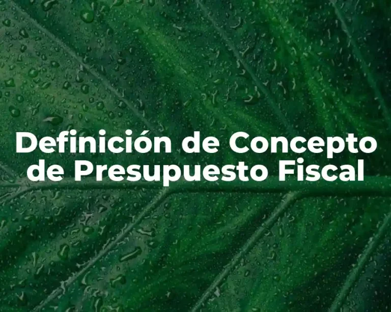 Definición de Concepto de Presupuesto Fiscal