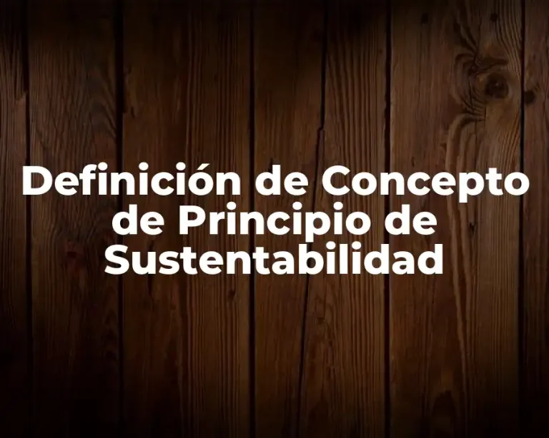Definición de Concepto de Principio de Sustentabilidad