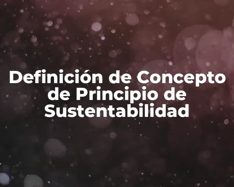 Definición de Concepto de Principio de Sustentabilidad