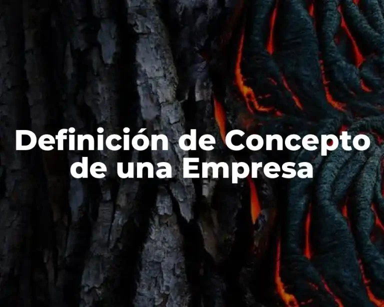 Definición de Concepto de una Empresa