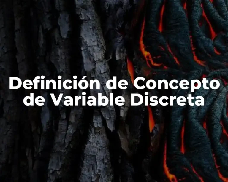 Definición de Concepto de Variable Discreta