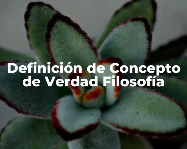 Definición de Concepto de Verdad Filosofía