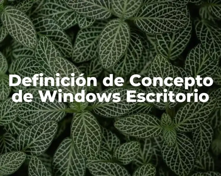 Definición de Concepto de Windows Escritorio