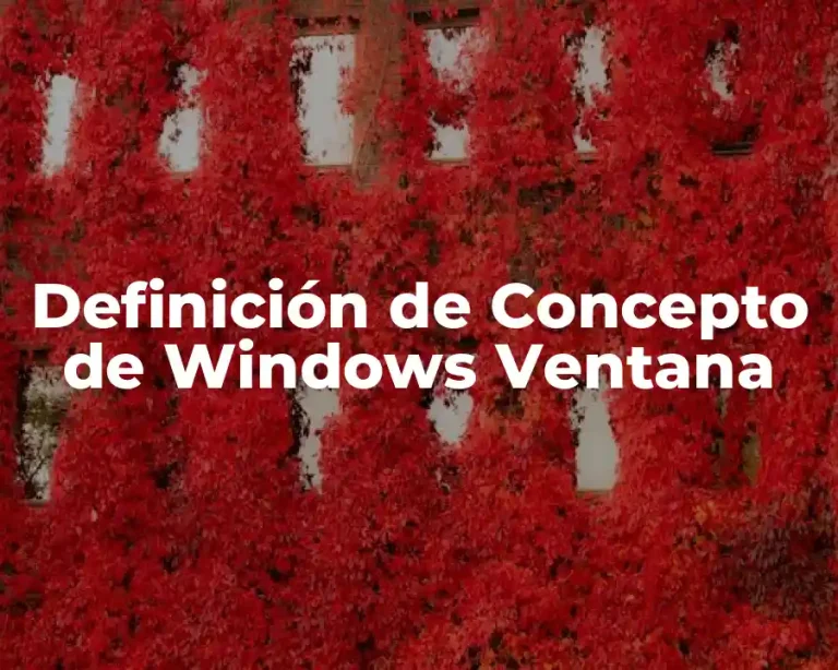 Definición de Concepto de Windows Ventana