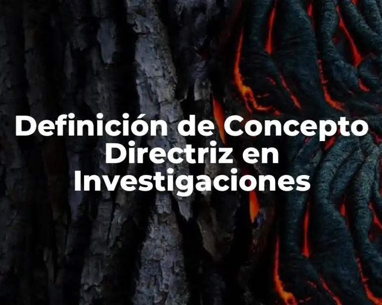Definición de Concepto Directriz en Investigaciones