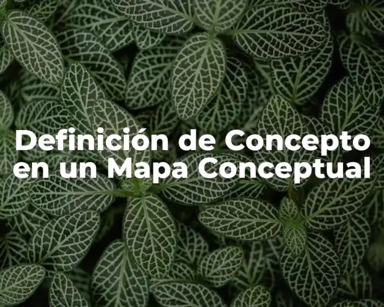Definición de Concepto en un Mapa Conceptual