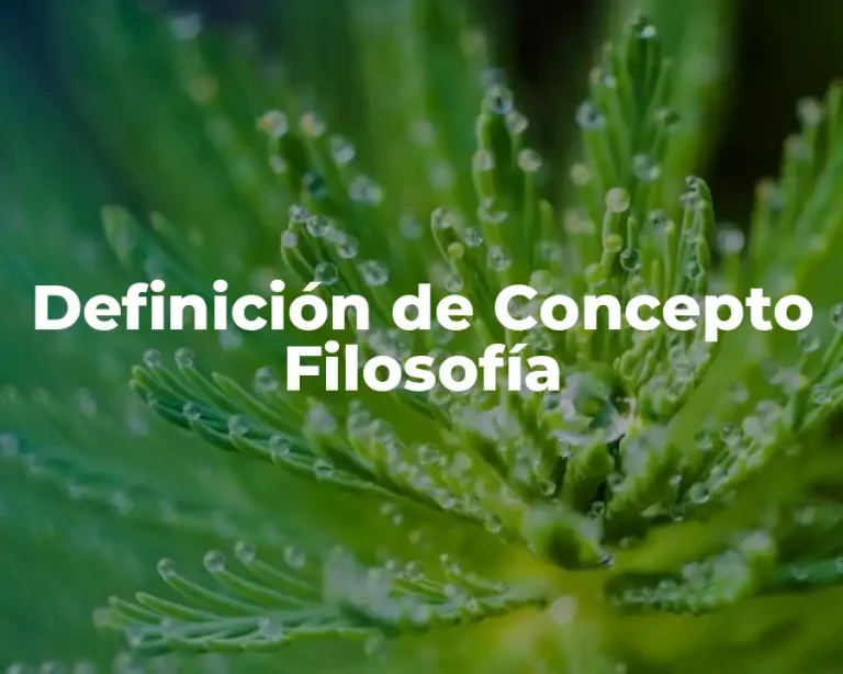 Definición de Concepto Filosofía