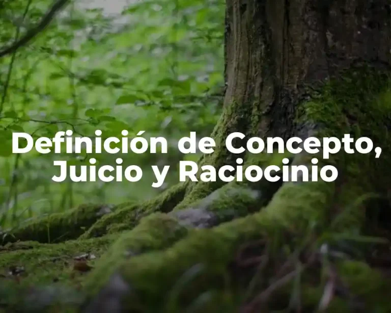 Definición de Concepto, Juicio y Raciocinio