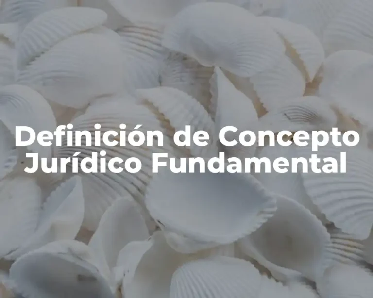 Definición de Concepto Jurídico Fundamental