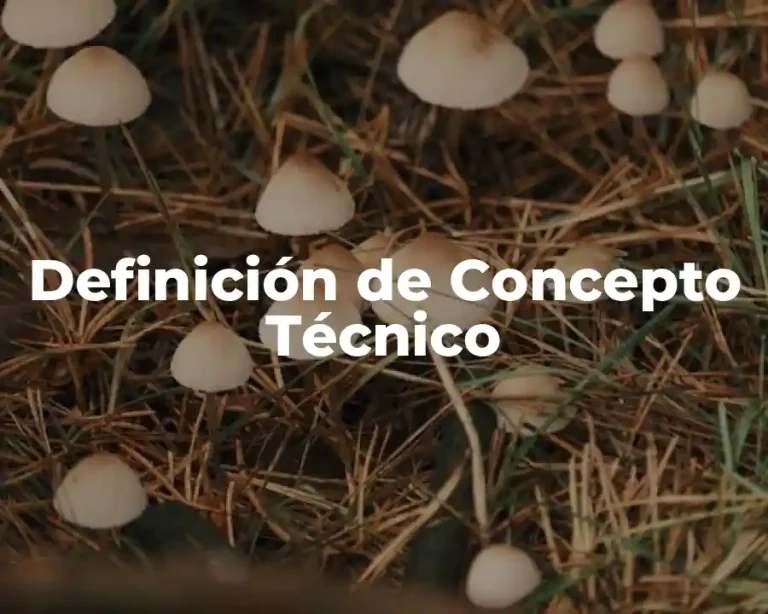 Definición de Concepto Técnico