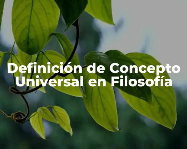 Definición de Concepto Universal en Filosofía