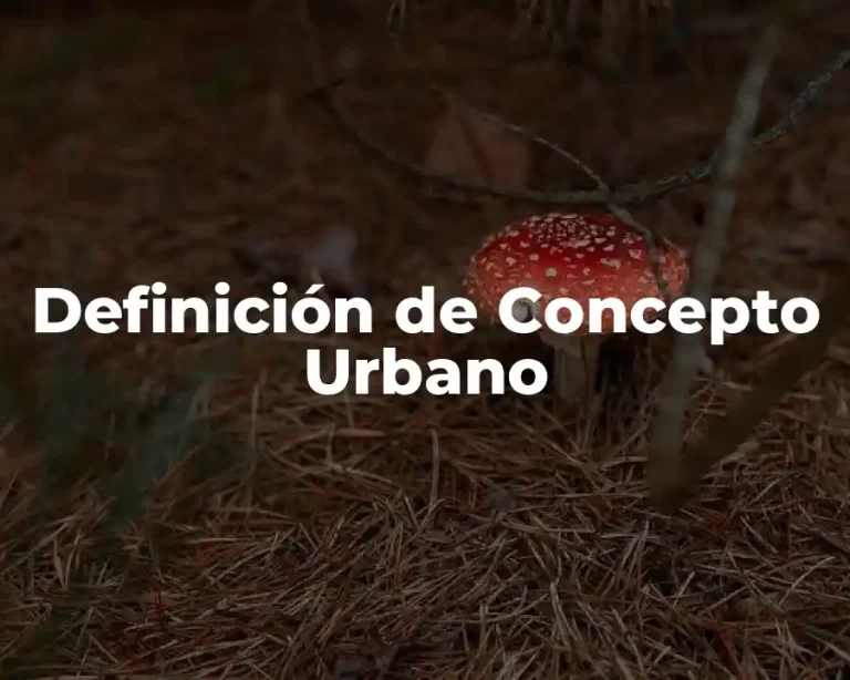 Definición de Concepto Urbano