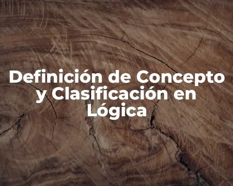 Definición de Concepto y Clasificación en Lógica