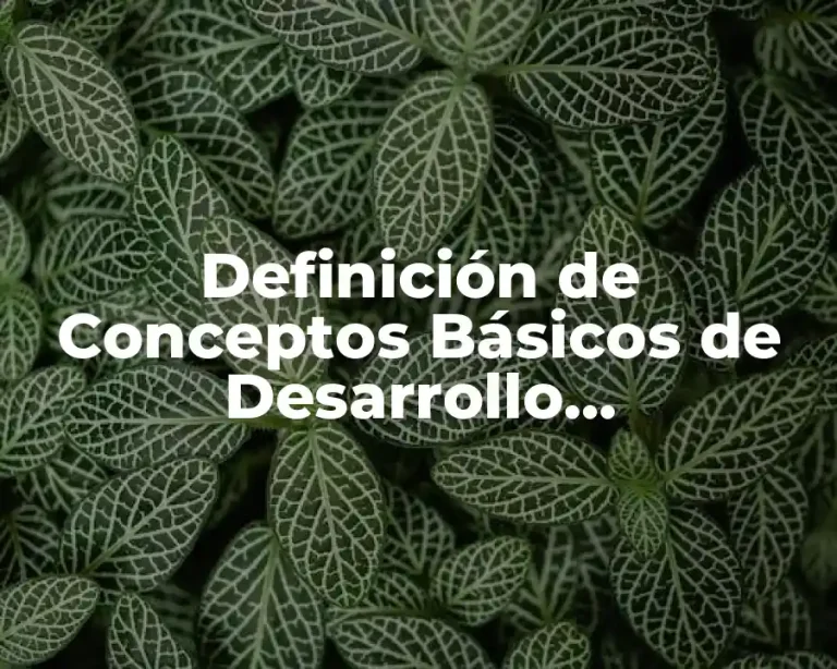 Definición de Conceptos Básicos de Desarrollo Organizacional