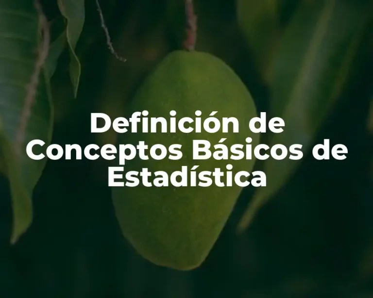 Definición de Conceptos Básicos de Estadística