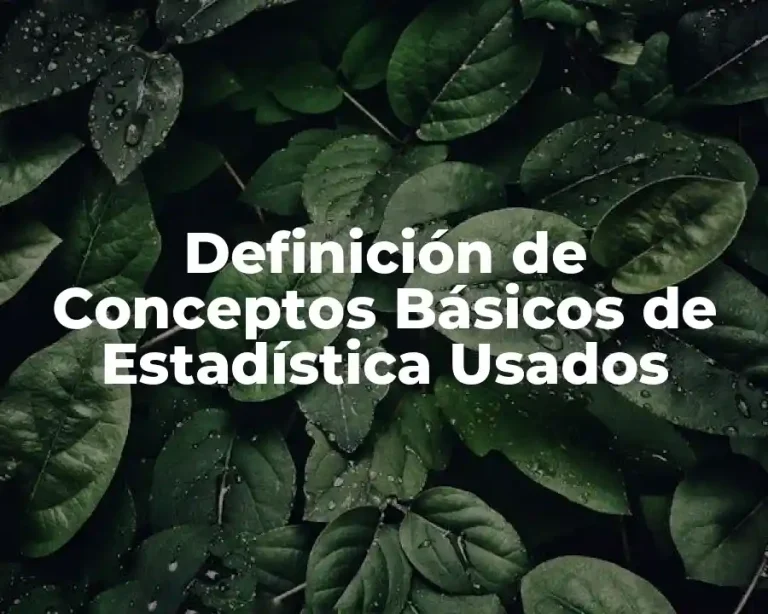 Definición de Conceptos Básicos de Estadística Usados