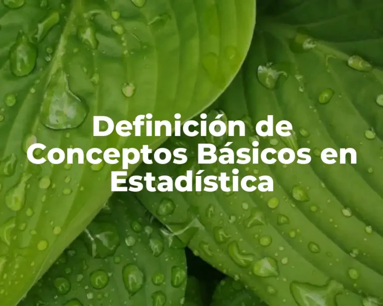 Definición de Conceptos Básicos en Estadística