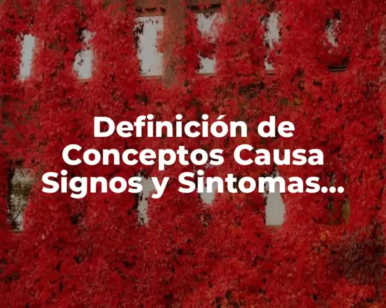 Definición de Conceptos Causa Signos y Sintomas Prevencon