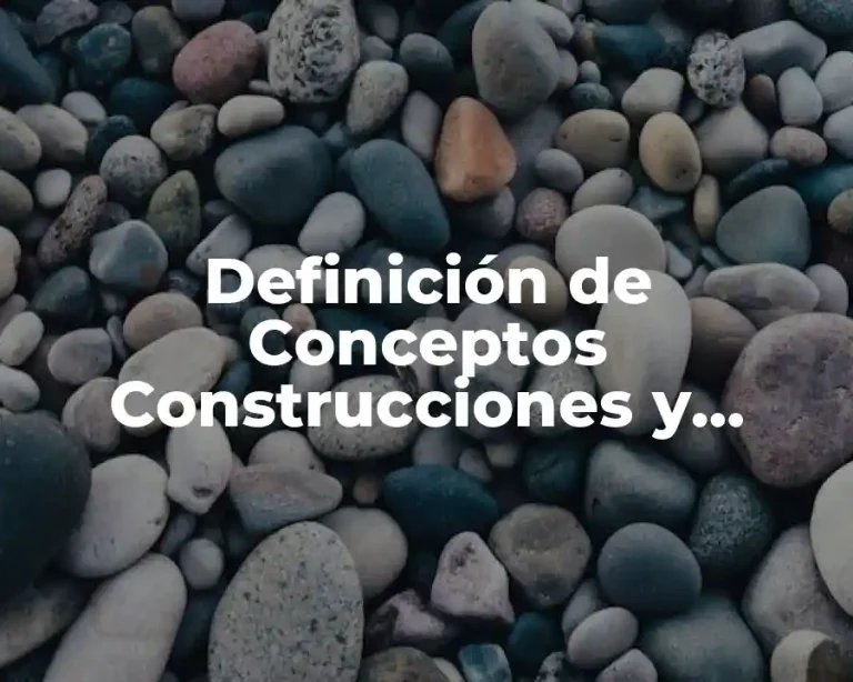 Definición de Conceptos Construcciones y Variables