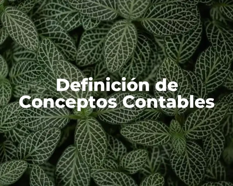 Definición de Conceptos Contables