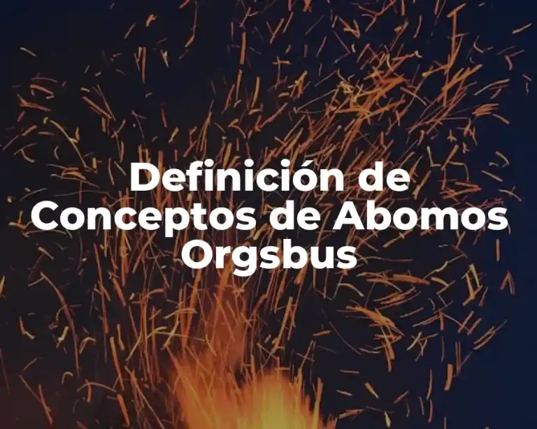 Definición de Conceptos de Abomos Orgsbus