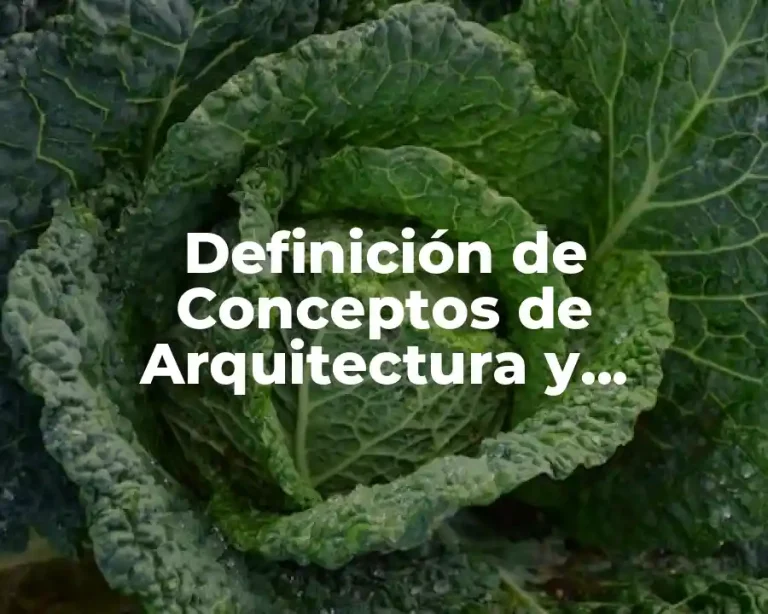Definición de Conceptos de Arquitectura y Conservador